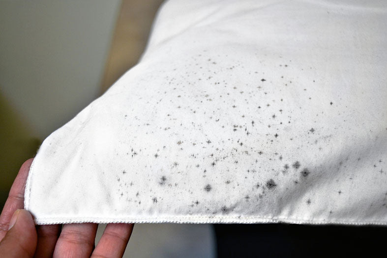 How to Clean Mold off of Fabric