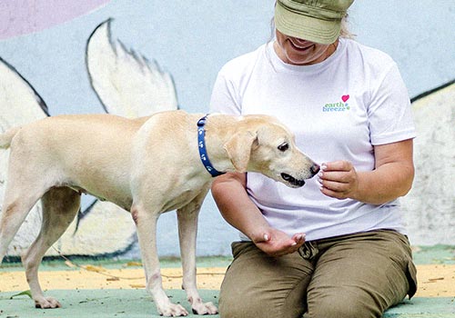 Woman and dog