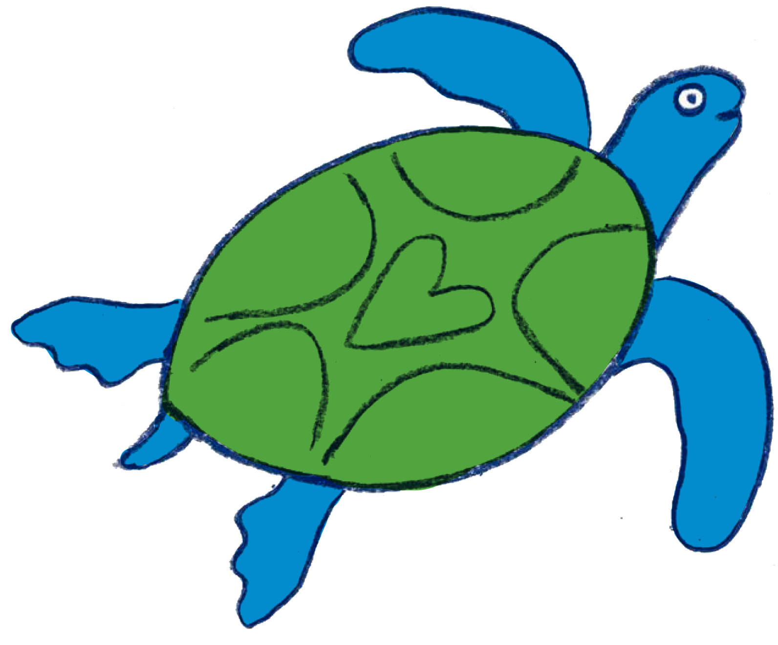 drawing of a turtle